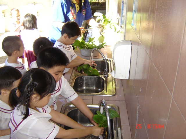 DSC07706.JPG